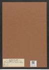 Rhabdonema forellii Cleve (de-Toni-Nr.: Genus 95, Species 3063) Zeichnungen Sammlung Grunow Mappe 03295 (Herbarium_W_Grunow_drawings_Folder_03295)